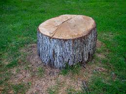 How Our Tree Care Process Works  in  Sanger, CA