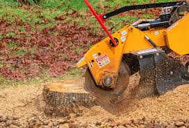  Sanger, CA Tree Care Pros